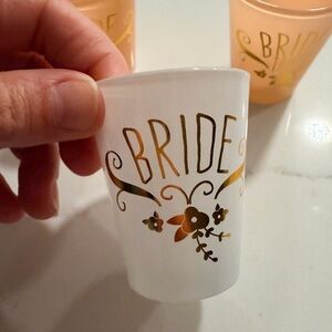 Bride and 2 bride tribe shot glasses